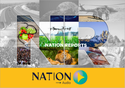 Nation Reports artwork